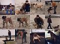 Spock Dagje Strand